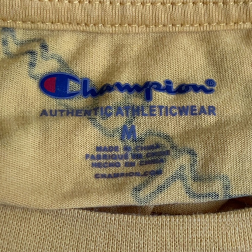*CHAMPION* - Picture 2 of 2